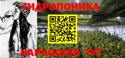 дживик Лесосибирск