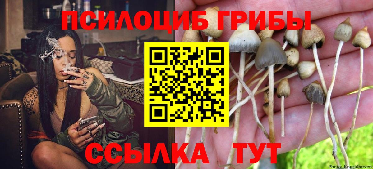 Псилоцибиновые грибы Magic Shrooms Ивантеевка